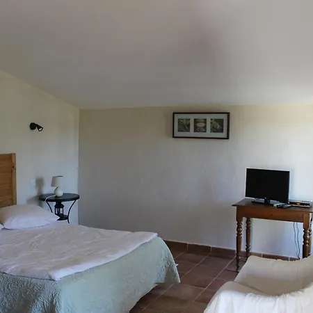 Pietra-monetta * Pietra Moneta