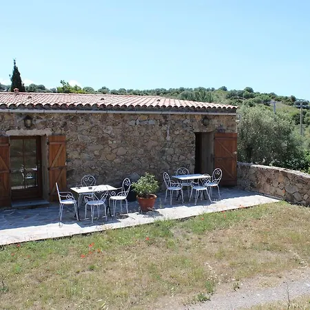 Pietra-monetta * Pietra Moneta