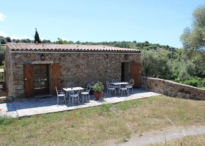 Pietra-monetta * Pietra Moneta