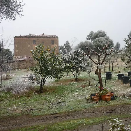 Pietra-monetta *