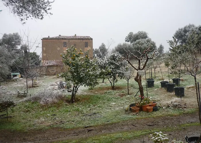 Pietra-monetta *