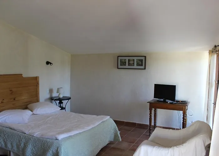 Pietra-monetta * Pietra Moneta